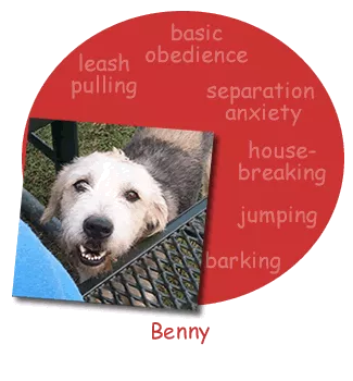 Bad Dog to Good Dog, LLC