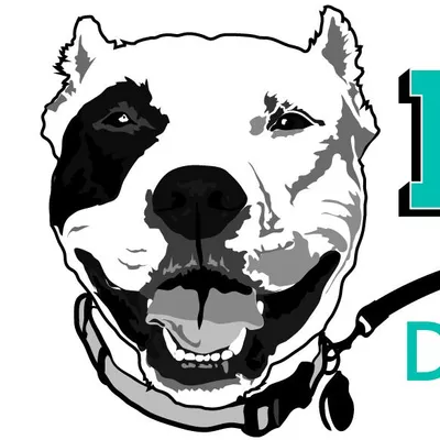 Pit Stop Dog Walking & Pet Care