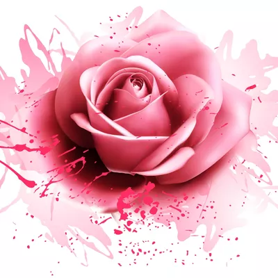 The Pretty Blush (FKA - Floral Design Creations)