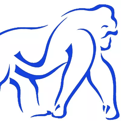 Gorilla Pool Service, LLC