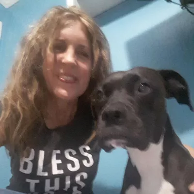 Dog Gone It Pet Sitting