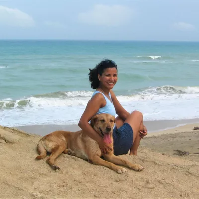Animal Behavior Counselor