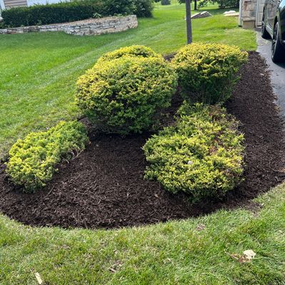 CHAVITTA'S LANDSCAPING