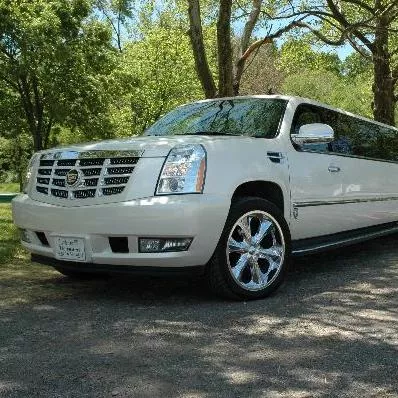 Amore Limousines