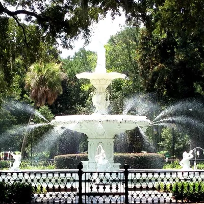 D.Vine Events Savannah