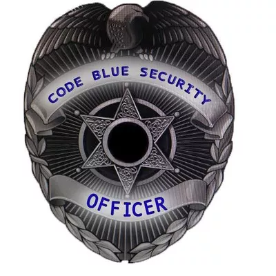 Code Blue Security