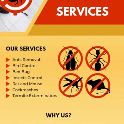 Spc Sergios Pest Control