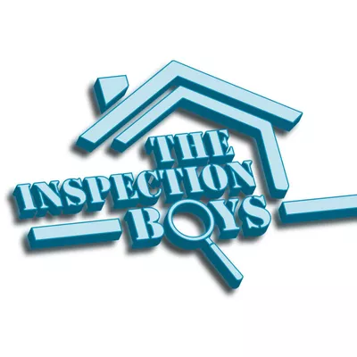 The Inspection Boys