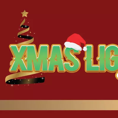 Xmas lights pros