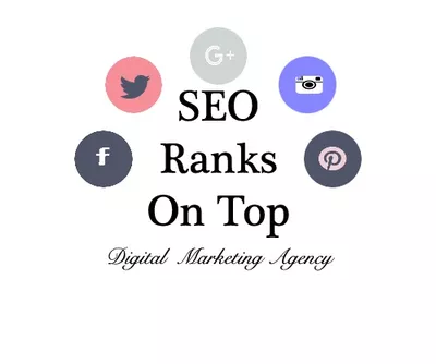SEO Ranks On Top
