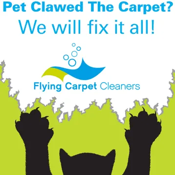 Flying Carpet Cleaners ,LLC
