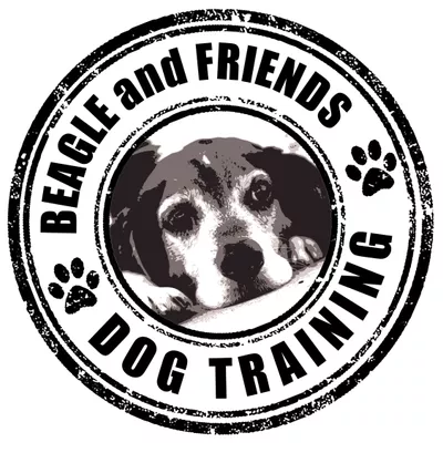 Beagle and Friends Dog Training
