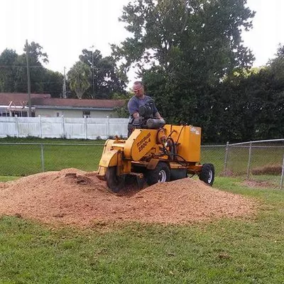 cheap as hell stump grindering