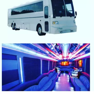 TNT Limobus
