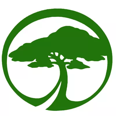 DFranco Irrigation Specialist & Landscape services