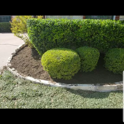 Vasquez Lawn Service LLC