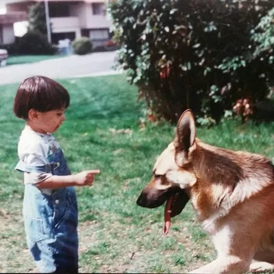 Solomon's Dog Training