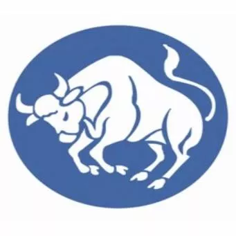 Taurus Gutters LLC