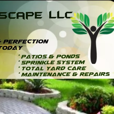 AUDILANDSCAPE LLC