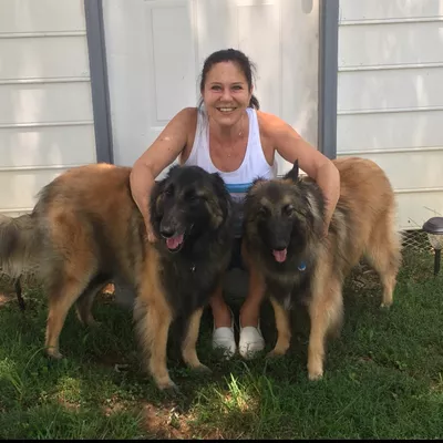 Hounds & Home