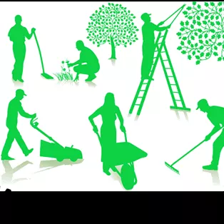 All Around Lawn and Landscaping