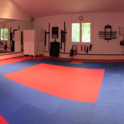 Martial Arts Tutoring