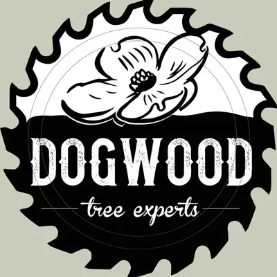 Dogwood Tree Service