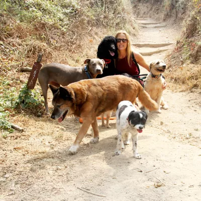 PENNY's POOCHES PET SERVICES