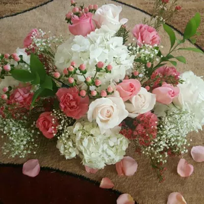 Petals & Beyond
