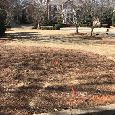 Simply Stumps Atlanta