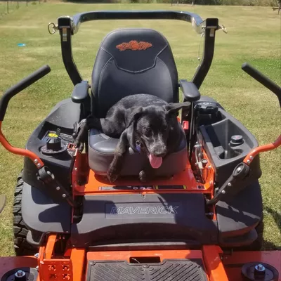 Indian Time Lawn Care