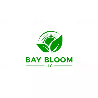 Bay Bloom LLC