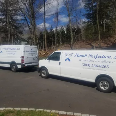 Plumb Perfection, LLC
