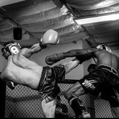 Boxing, Kickboxing, Jiujitsu, Judo, Wrestling Kali
