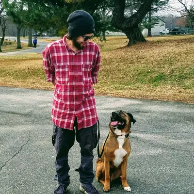 Conformed Canine Coaching