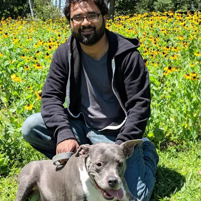 Wagsitting