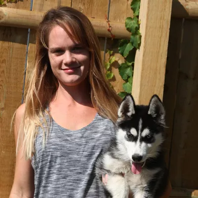 Julia’s Pet Sitting and Dog Walking