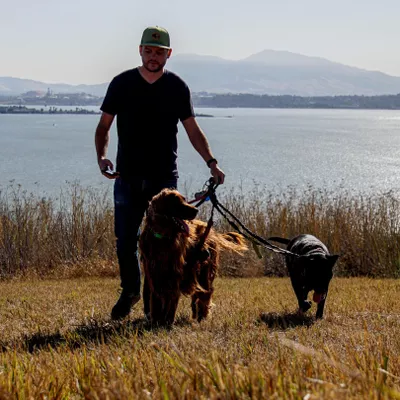Vallejo Pet Services