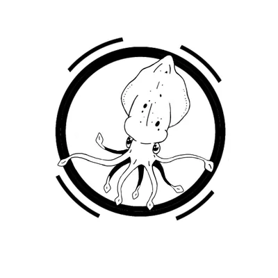 Squid Graphics