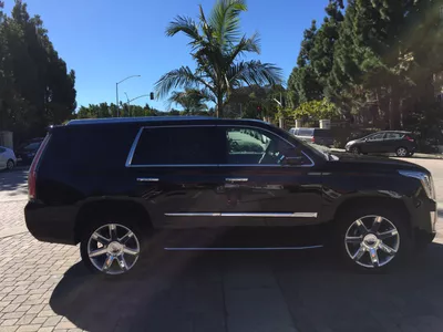 Uniquelylimo LLC