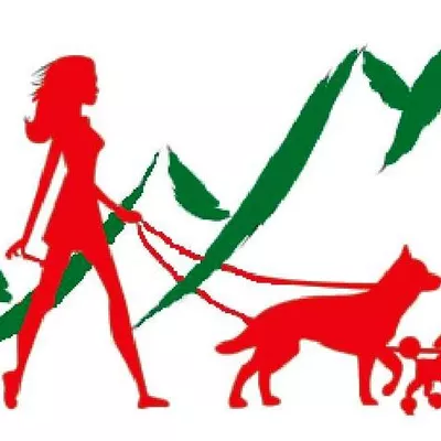 Mountain Top Dog Training