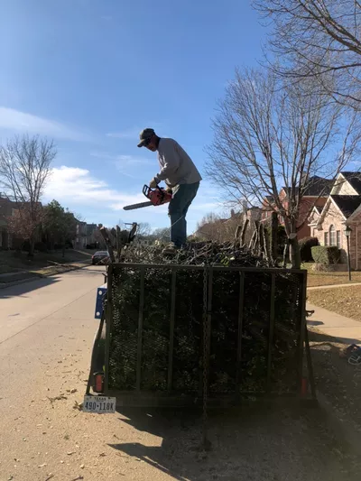 Eli Landscaping