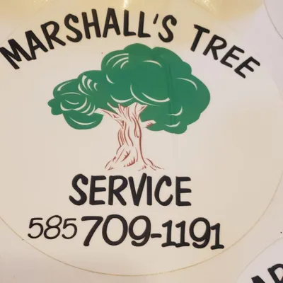 Marshall's Tree Svc