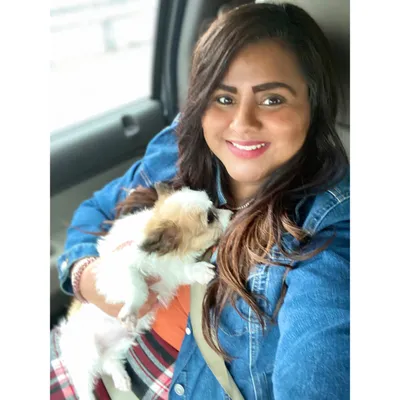 Rodrigues Pet Grooming