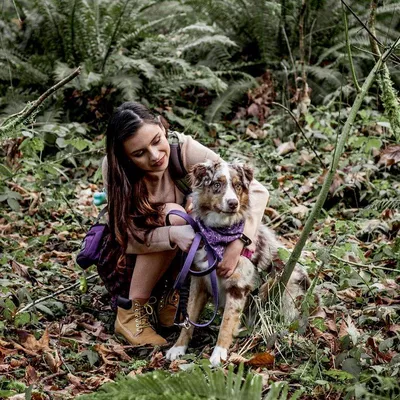 West Coast Canine Connections