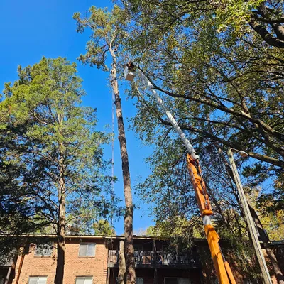 Eber Tree Service