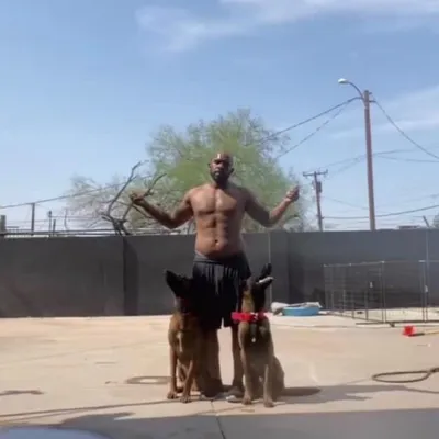 Diversified Kennels LLC