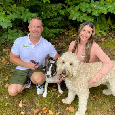 Bark Busters In Home Dog Training Boston North