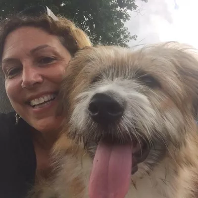 Bark Busters Boston Northwest In-Home-Dog-Training