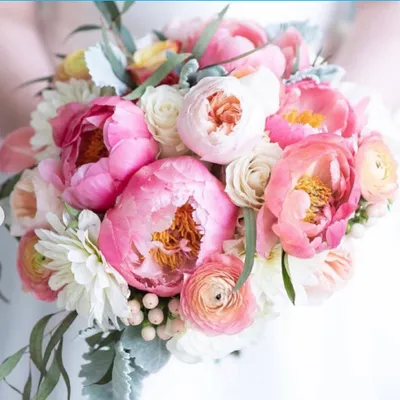 Hannah Rae Weddings